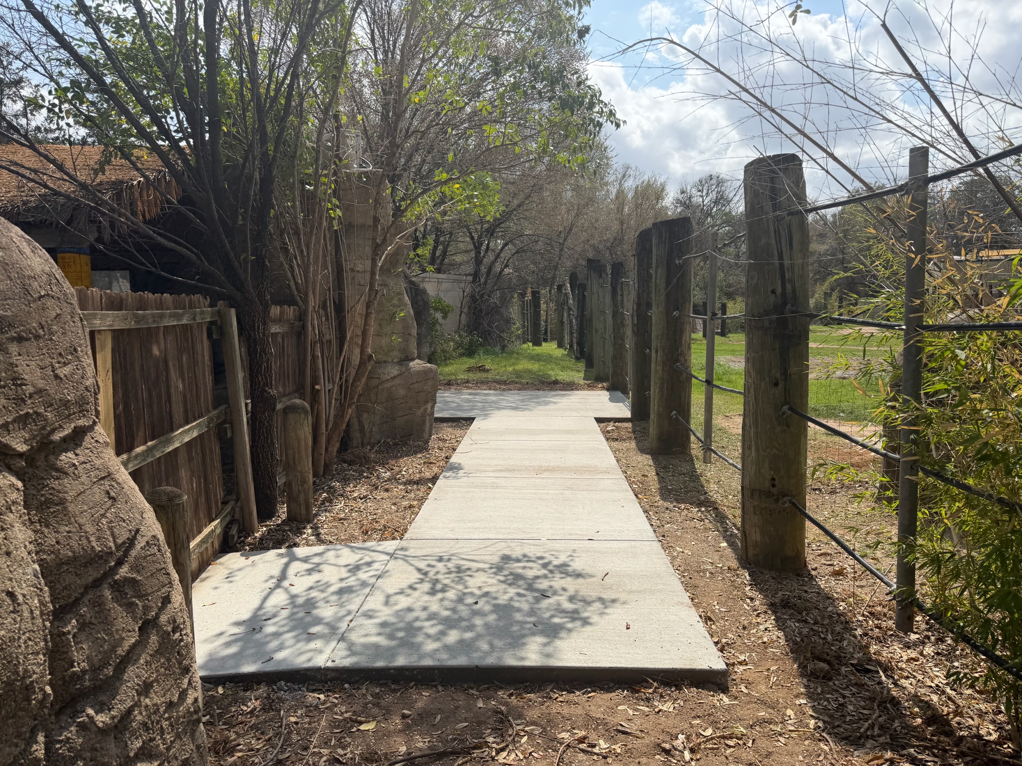 Straight pedestrian walkway with visible joints at Cameron Park Zoo